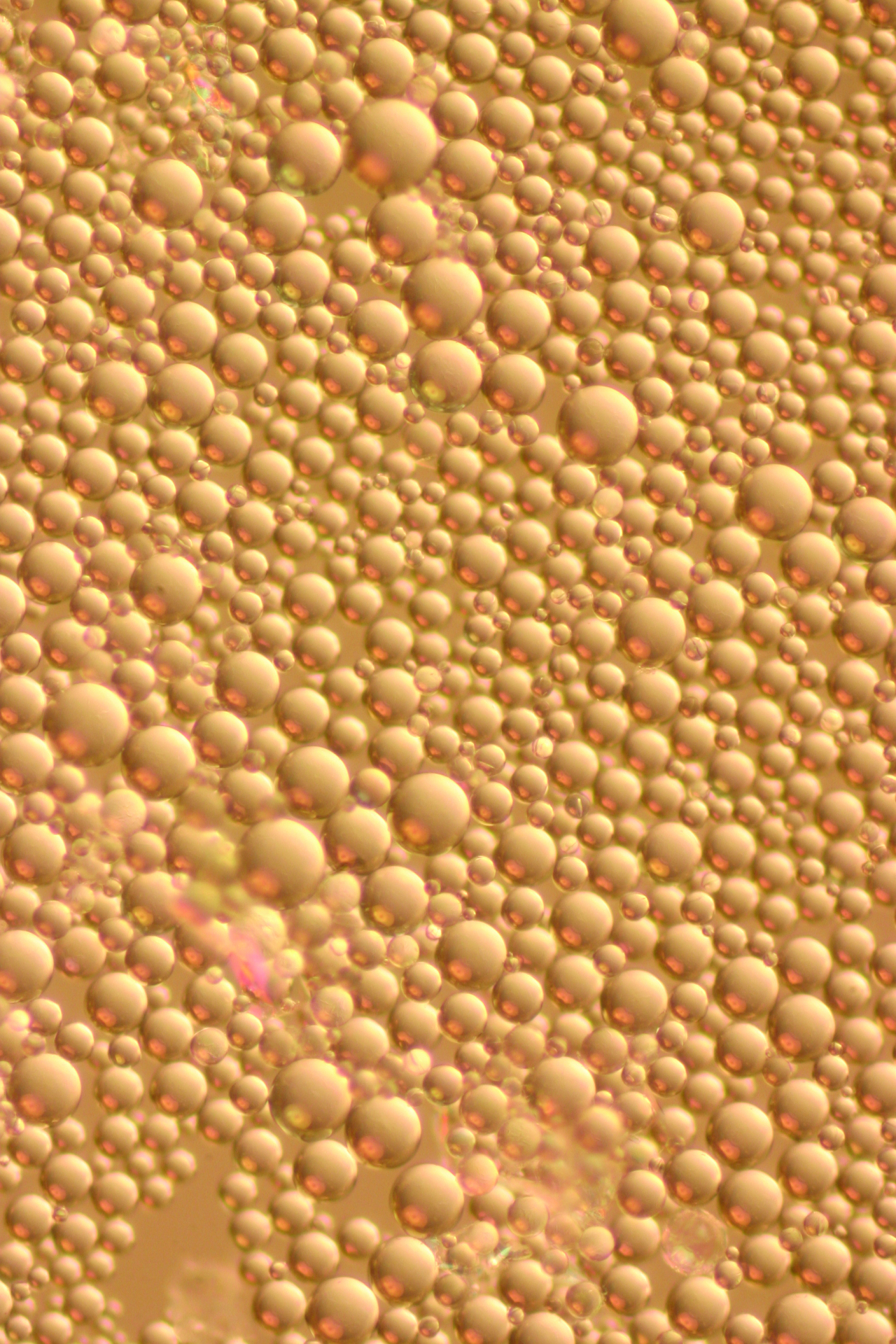 Microscopy view of Alexium phase change material microcapsules