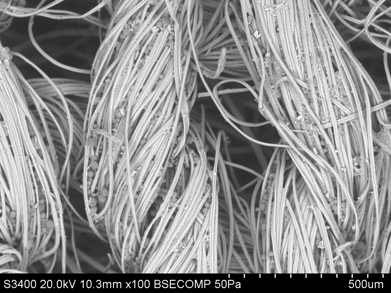 mPCM on textile fibers · 500 µm